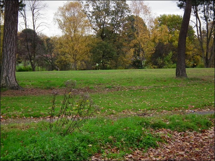 queenspark 069 queenspark 069